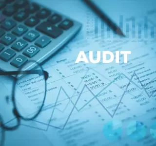 Technical Audits
